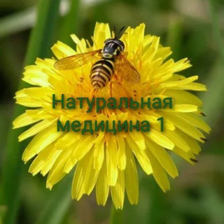 Логотип @naturalmedicine1 - Натуральная медицина1