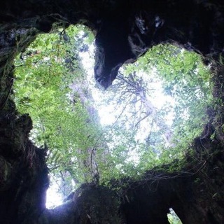 Логотип @nature_rampage - nature rampage