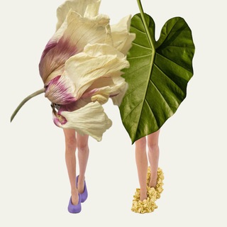 Логотип @nature_things - Природа вещей