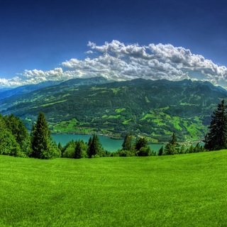 Логотип @nature_video_picture - Nature