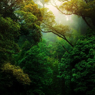 Логотип @naturebackup - Nature Landscape Animal Photography Videos - TikTok Backup by AppleEditing [Mountains / Glaciers / Oceans / Switzerland]