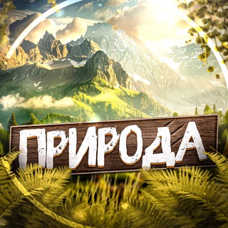 Логотип @natureevideo - Nature 🗺️ | Природа | Красивые Видео Путешествия