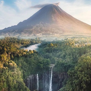 Логотип @natureislit - ☆꧁ Nαƚυɾҽ Iʂ Lιƚ ꧂☆