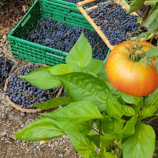 Логотип @naturellemtvotre - Naturellement vôtre (68)