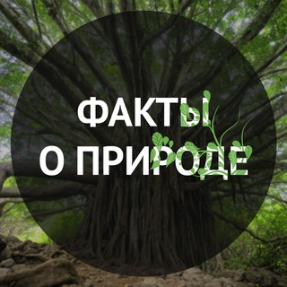 Логотип @naturemd - Факты о природе