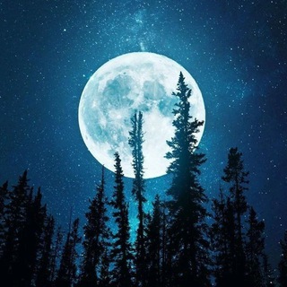 Логотип @natures_gift007 - Natures Gift