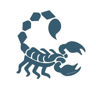 Логотип @naturesciencetg - Nature Science