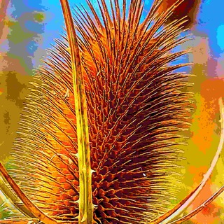 Логотип @naturleinwand - Nat[UR] Lei[N]wand