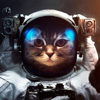 Логотип @nauch_iznchat - Научная изнанка ЧАТ