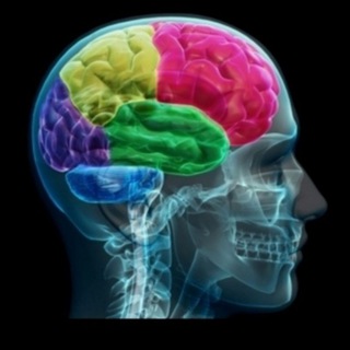 Логотип @nauka24 - Исследователь 🌍