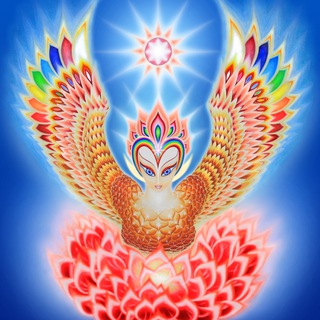 Логотип @naukoderevnya_u_istokov - Наукодеревня у Истоков