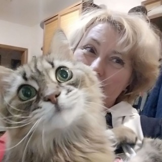 Логотип @naumchak - Усы Томаса