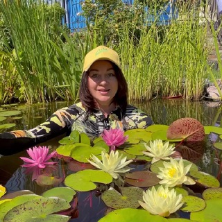 Логотип @naumova_garden - Фея Нимфей