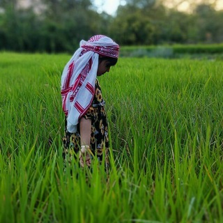 Логотип @naven_kurdi - 𝗡𝗮𝘃ê𝗻 𝗸𝘂𝗿𝗱î