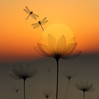 Логотип @navoiyvmtb - XURSHIDA NARZIYEVA