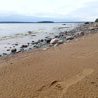 Логотип @navolgo - NaVolgo