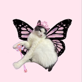 Логотип @naxodka03 - WB НАХОДКИ