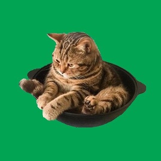 Логотип @nayka_116 - Научный Казан