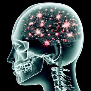 Логотип @naykafakt - Наука и факты