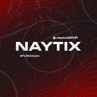 Логотип @naytixmvp - NAYTIX