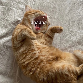 Логотип @nazagone - Твои загоны