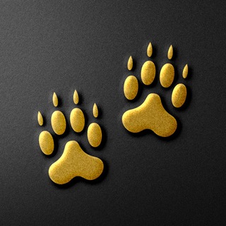 Логотип @nazarov_travel - Волчьи следы