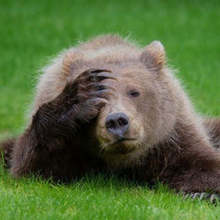 Логотип @nazbob_jokes - @nazbob_jokes