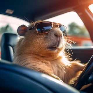 Логотип @nazhmkisuda - Самые несмешные шутки. Шутка