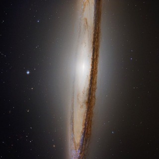 Логотип @naziranewreality - Новая реальность 👽