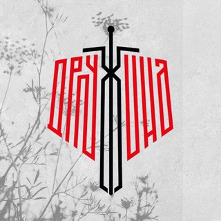 Логотип @nddnr - Народная Дружина