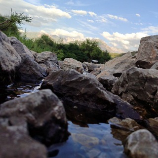 Логотип @ndh777 - ЛЕЧЕБНЫЕ ТРАВЫ🌿🌱🍃