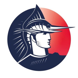 Логотип @ndlrussia - Национальная Дайв Лига России