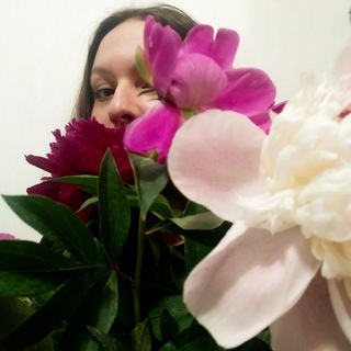 Логотип @ndreambook12 - Мир фантазии и волшебства | _dreambook12_