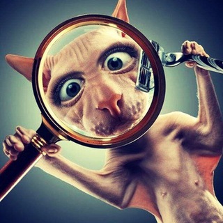 Логотип @ne_ezh_depil - #неЁж_депиляция_Екатеринбург