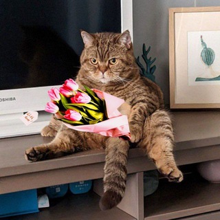 Логотип @ne_kopengagen - 𝓷𝓮 𝓚𝓸𝓹𝓮𝓷𝓰𝓪𝓰𝓮𝓷*