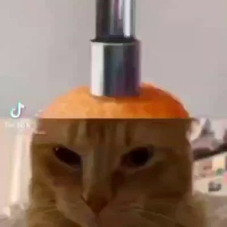 Логотип @ne_sirozhka - Говнопосты✨