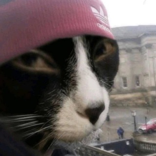 Логотип @neblednayazhizn - не бледная zhiзнь