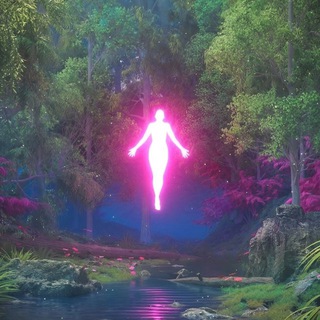 Логотип @nedityushkin - ДИТЮШКИН