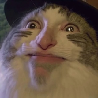 Логотип @nedomemnom_chat - Городская площадь Недомемнома