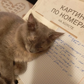 Логотип @nedorabotyaga - Блог недоработяги