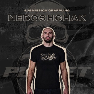 Логотип @nedoshchak_max - NEDOSHCHAK