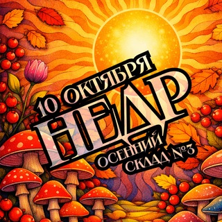 Логотип @nedrfest - ФЕСТИВАЛЬ НЕДР ОСЕННИЙ | 10.10.2026 | СКЛАД №3