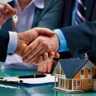 Логотип @nedszap - Недвижимость Северо-Запада