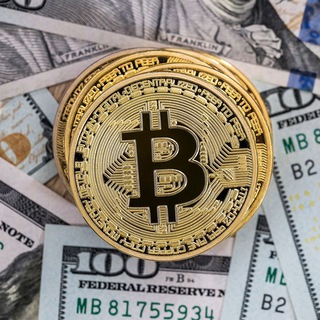 Логотип @nedviga_education - ЧАТ ДОКТОР ХАУС