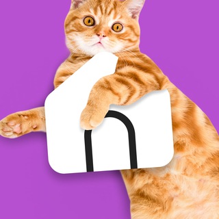 Логотип @nedvigimost_i_kotiki - Контур недвижимости