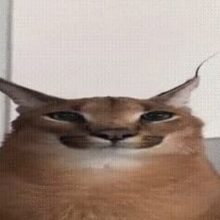 Логотип @negripidarasi1337 - CRYPTOFLOPPA