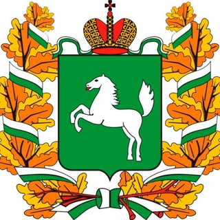 Логотип @negubernatore - Народный НЕ Губернатор