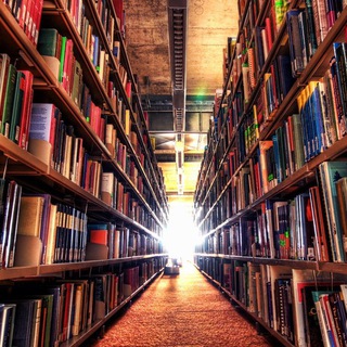 Логотип @neiderru - neiderlib