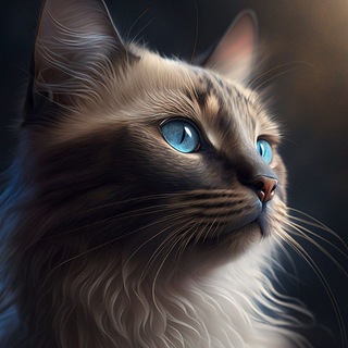 Логотип @neircat - Котландия