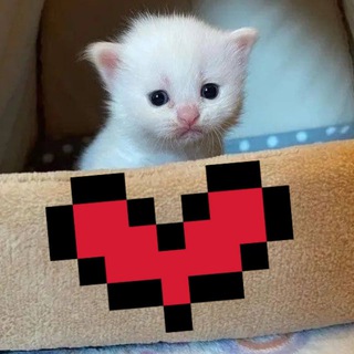 Логотип @nejnapikcha - Нежная пикча 💗